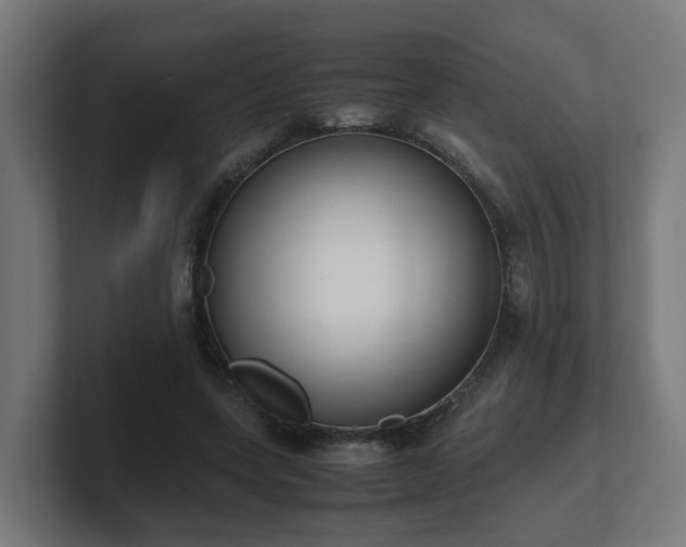 X0000101660543200807171316