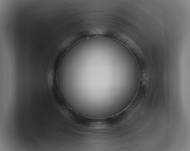 X0000101660544200807171316