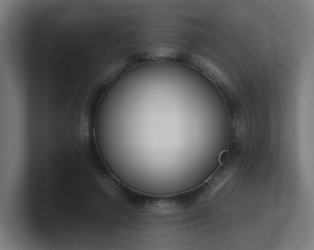 X0000101660546200807171316