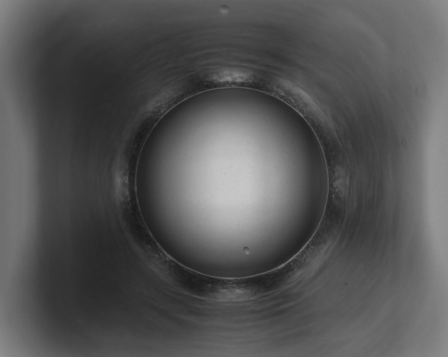 X0000101660547200807171316