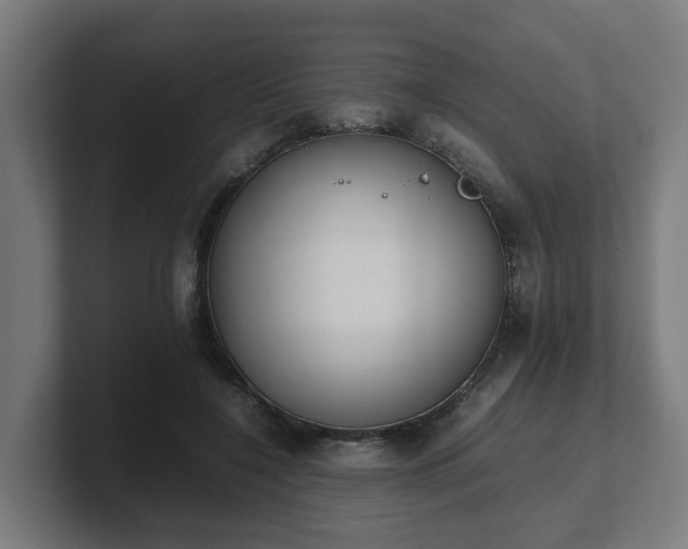 X0000101660548200807171316