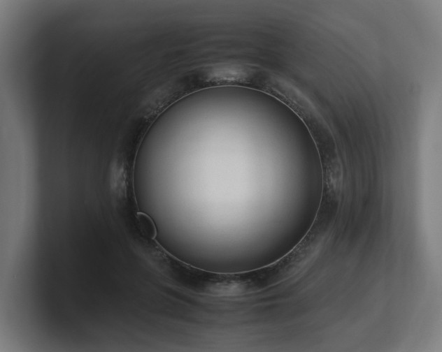 X0000101660551200807171316