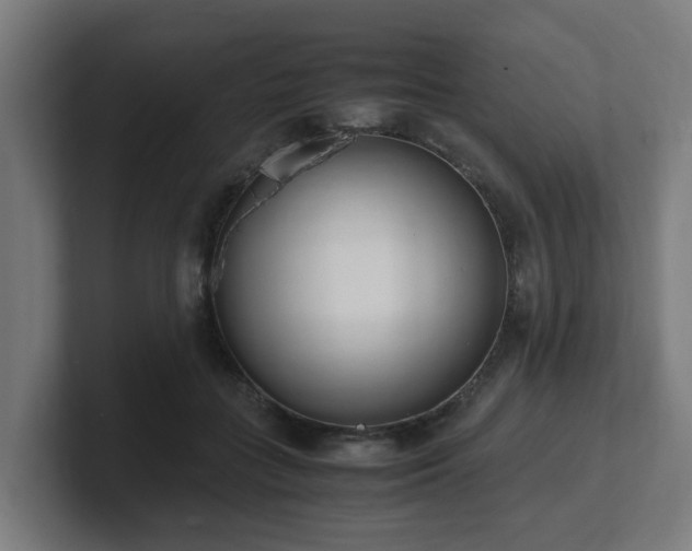 X0000101660555200807171316