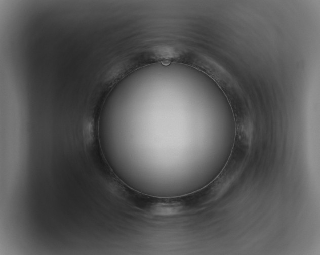 X0000101660556200807171316