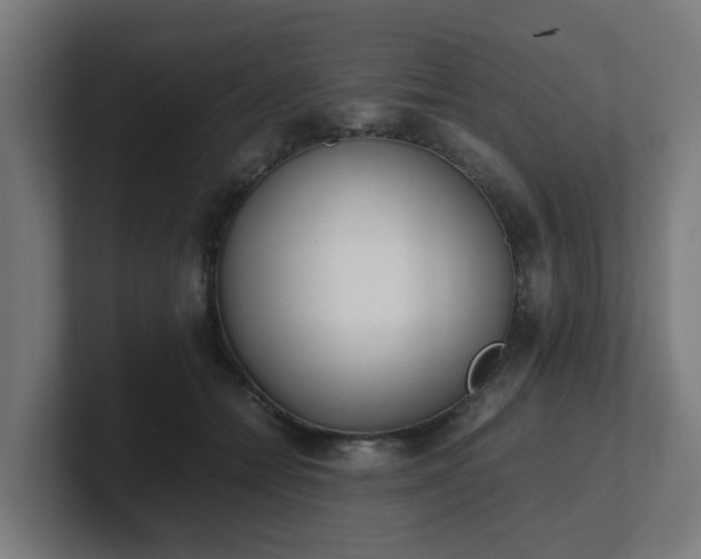 X0000101660558200807171316