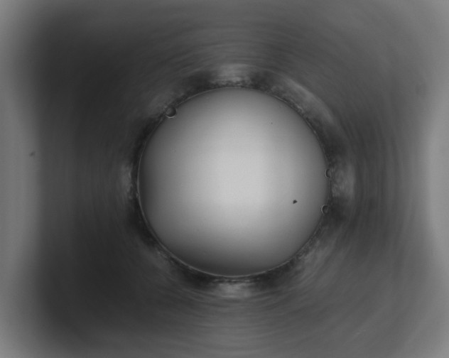 X0000101660560200807171316