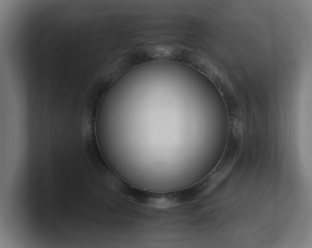 X0000101660561200807171316