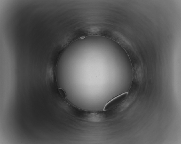 X0000101660562200807171316