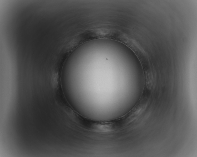 X0000101660563200807171316