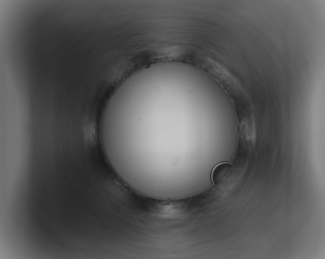 X0000101660564200807171316