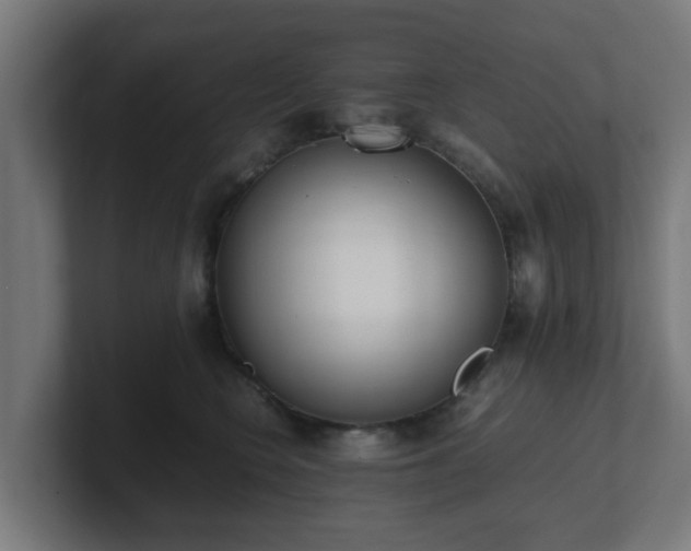 X0000101660566200807171316