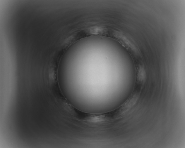 X0000101660569200807171316