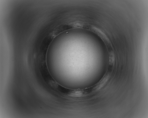 X0000101660573200807171317