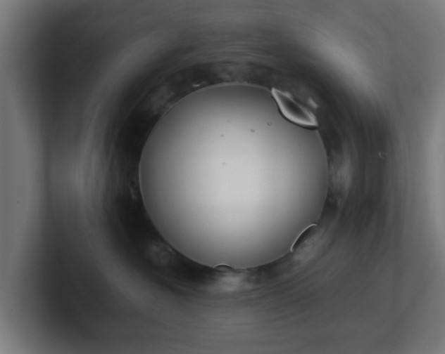 X0000101660574200807171317