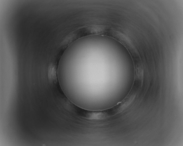 X0000101660575200807171317