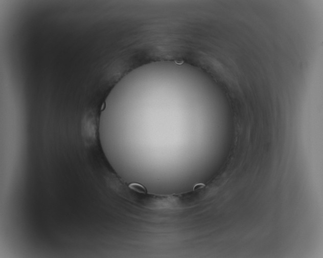 X0000101660576200807171317