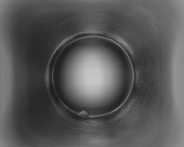 X0000101660580200807171316