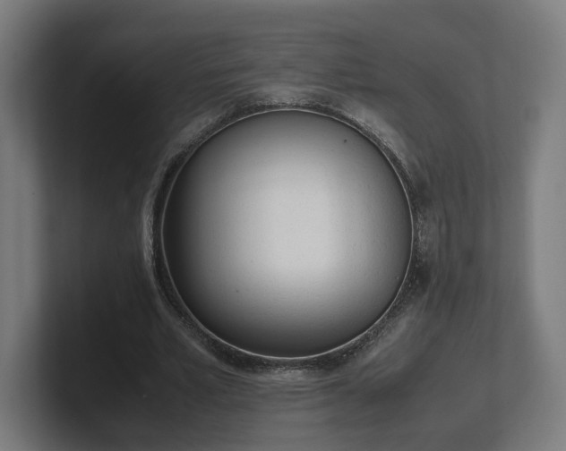 X0000101660581200807171316