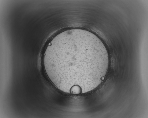 X0000101660584200807171316