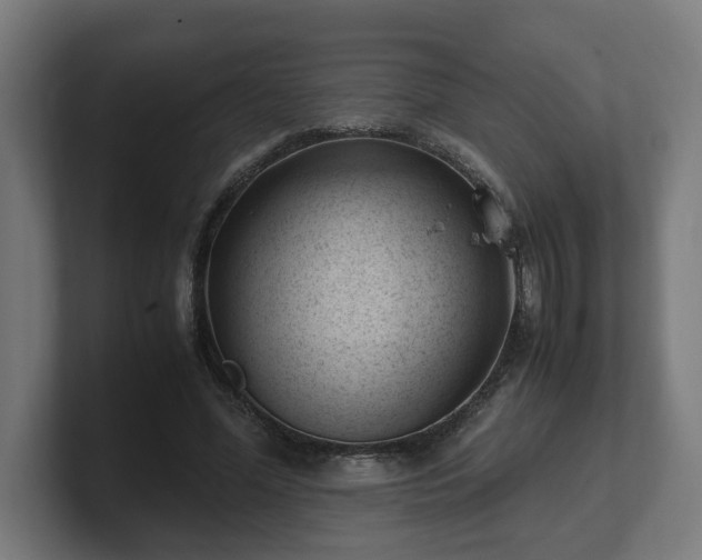 X0000101660588200807171316