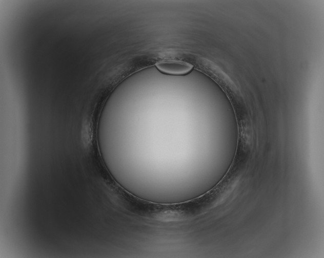 X0000101660593200807171316