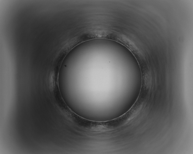 X0000101660594200807171316