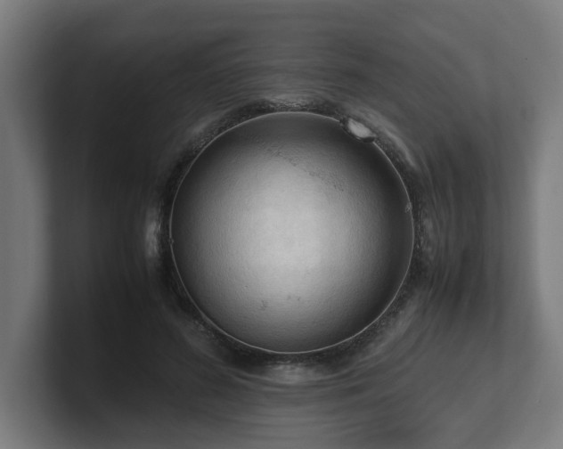 X0000101660596200807171316