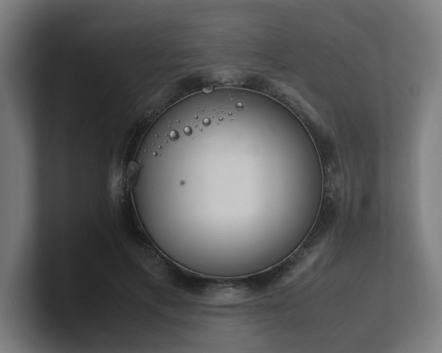 X0000101660597200807171316