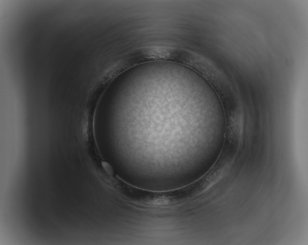 X0000101660600200807171316