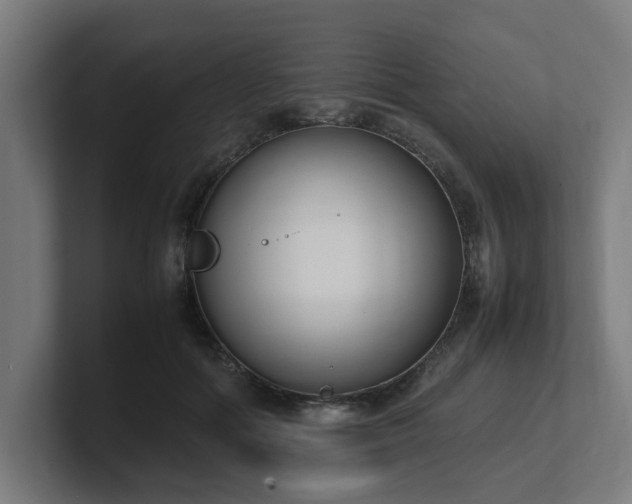 X0000101660602200807171316