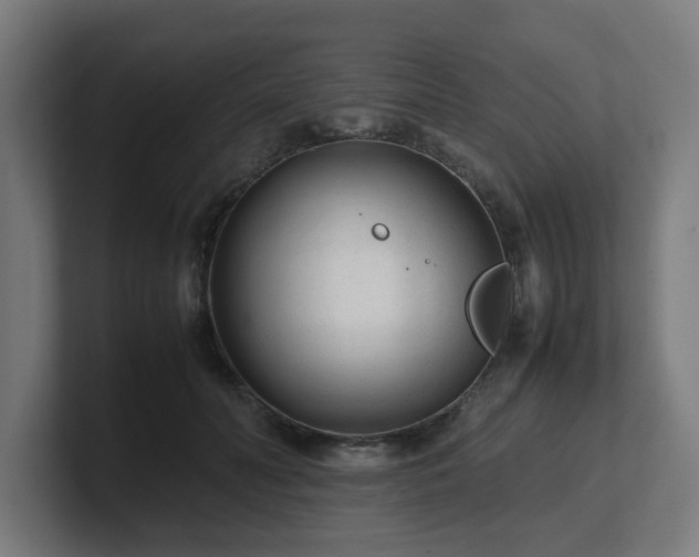 X0000101660606200807171315