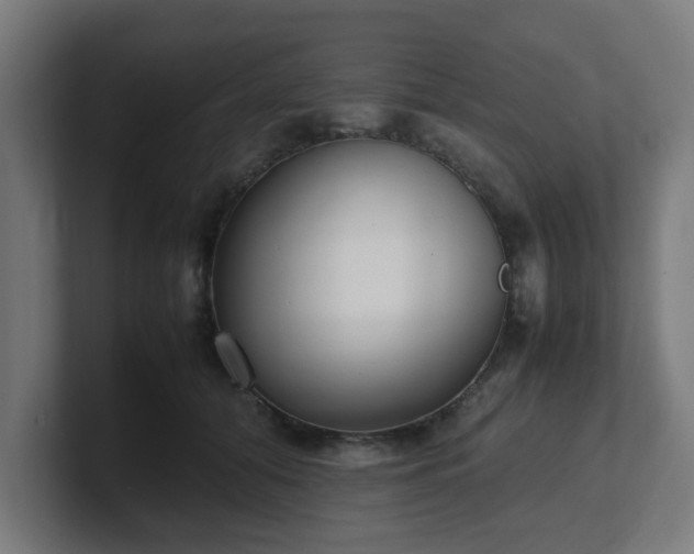 X0000101660608200807171315