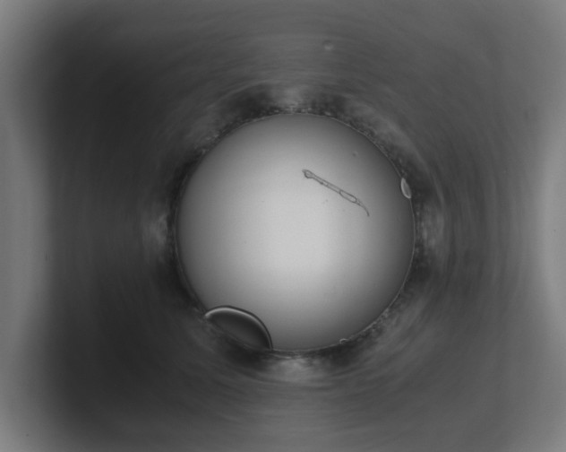 X0000101660611200807171315