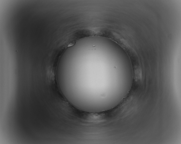 X0000101660613200807171315