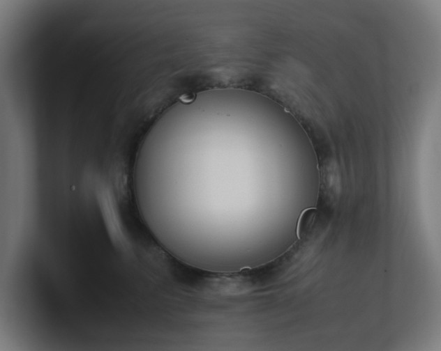 X0000101660615200807171315