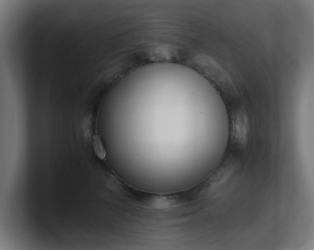 X0000101660616200807171315