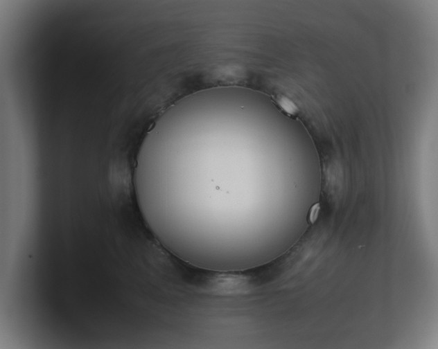 X0000101660617200807171315