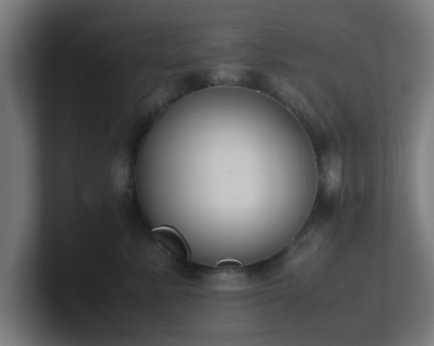 X0000101660619200807171315