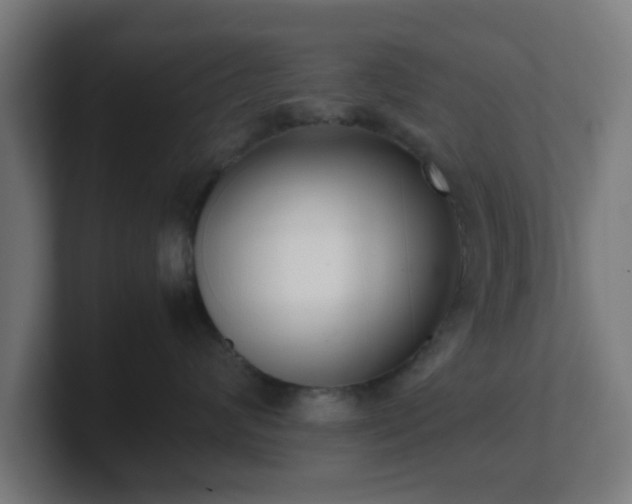 X0000101660624200807171315