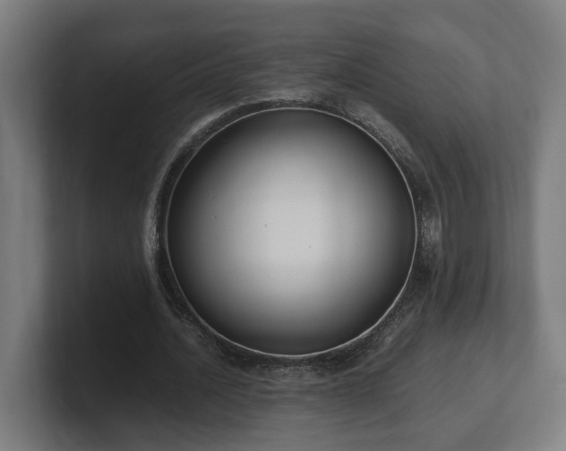 X0000101660628200807171315