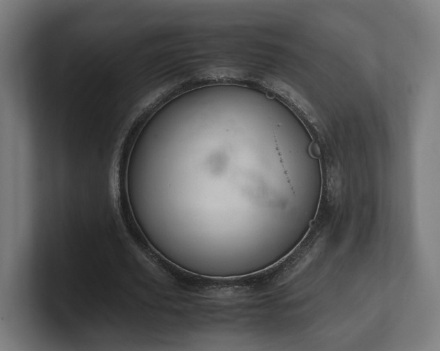 X0000101660629200807171315