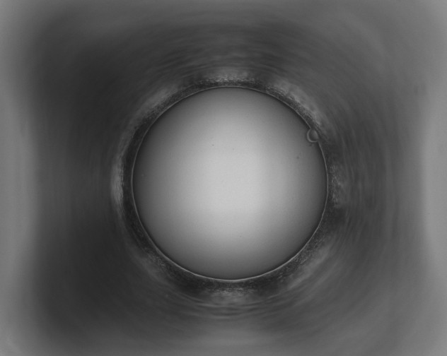 X0000101660631200807171315