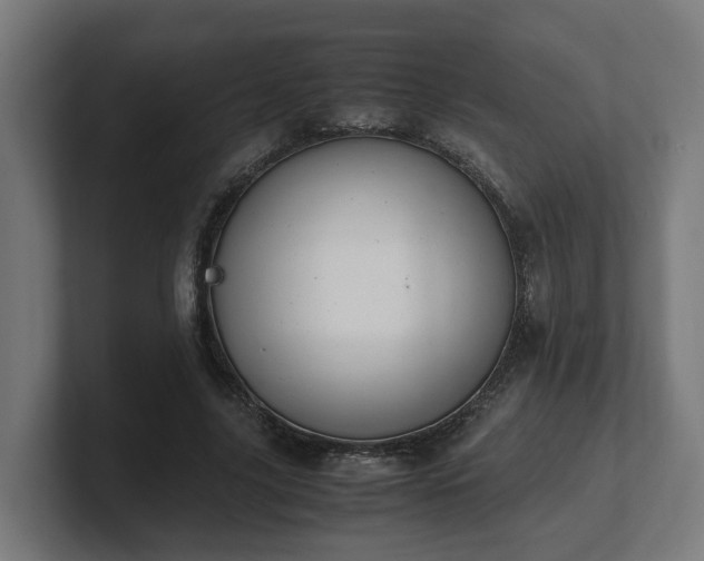 X0000101660635200807171315