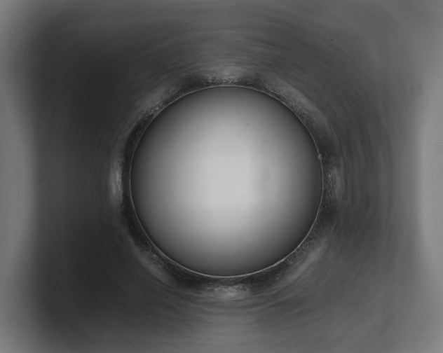 X0000101660638200807171315