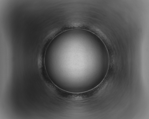 X0000101660640200807171315