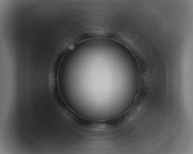 X0000101660642200807171315