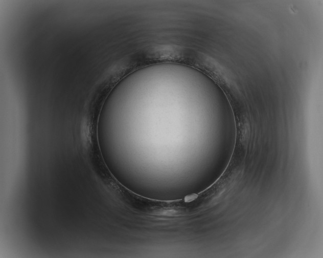 X0000101660643200807171315