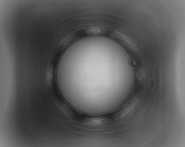 X0000101660645200807171315