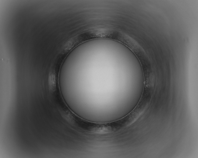 X0000101660646200807171315