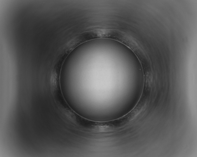 X0000101660650200807171315